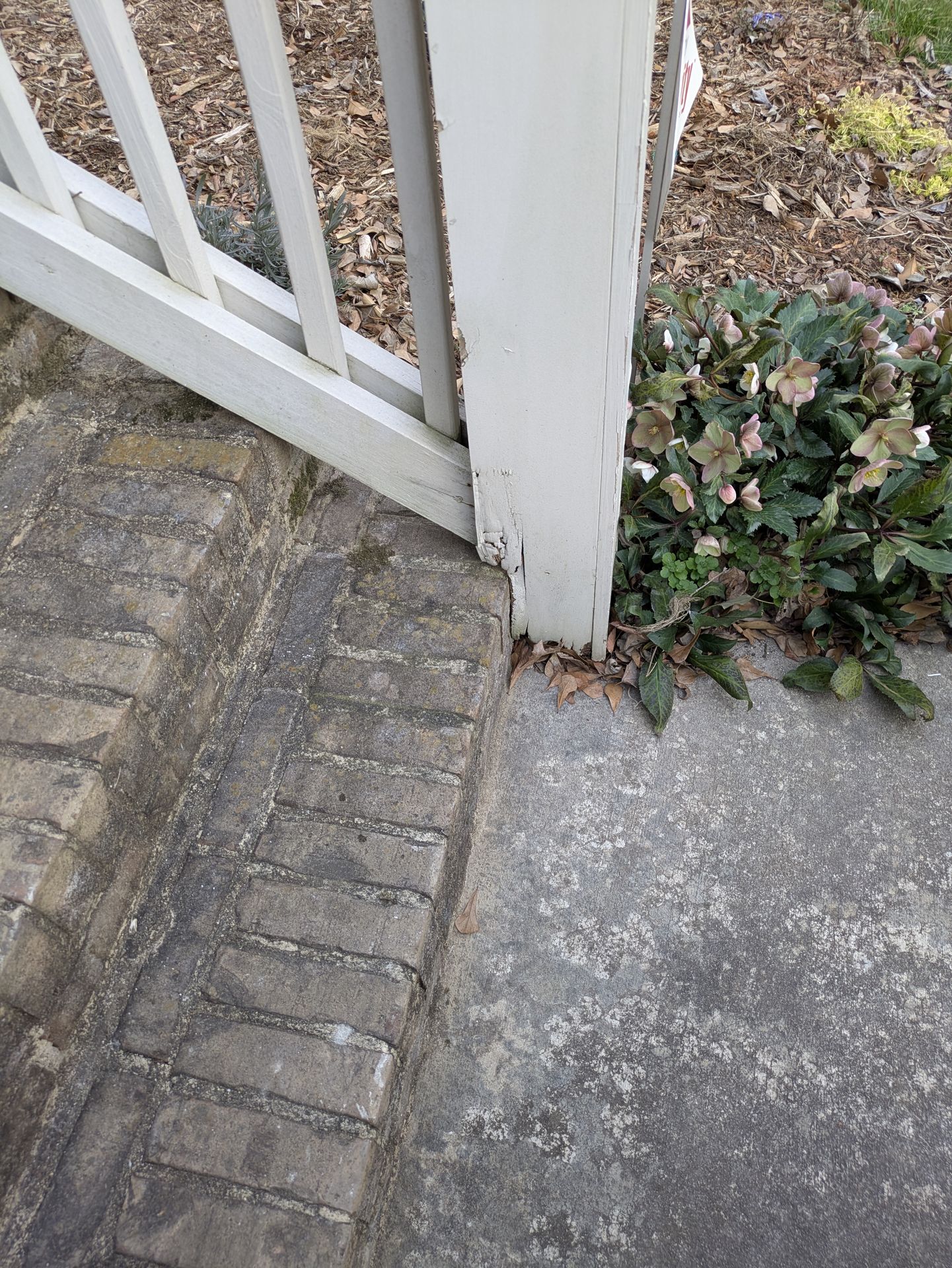 View of bathroom tile transition to hardwood floors